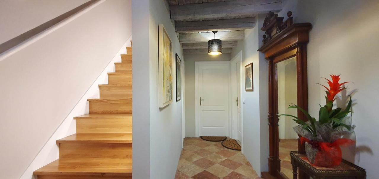 Muziqa Apartments 杜布罗夫尼克 外观 照片